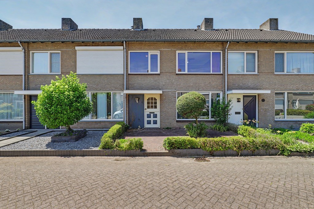 01_BLADEL_5531_CH_Gaspeldoorn_6.JPG