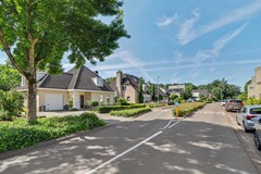 01_VELDHOVEN_5508_KZ_Kievit_45.JPG