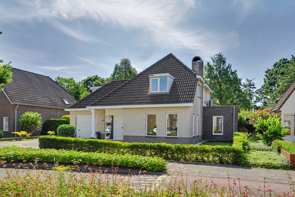 04_VELDHOVEN_5508_KZ_Kievit_45.JPG