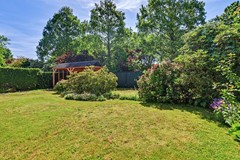 89_VELDHOVEN_5508_KZ_Kievit_45.JPG