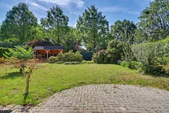 87_VELDHOVEN_5508_KZ_Kievit_45.JPG
