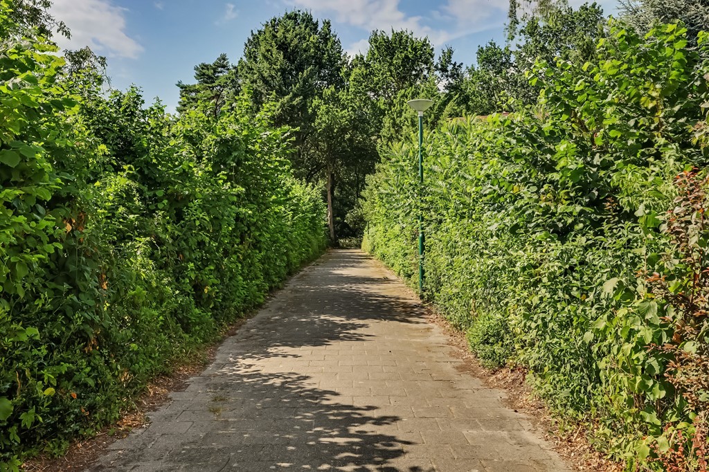 61_BERGEIJK_5571_BN_Van_Galenstraat_30.JPG