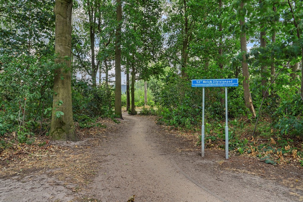 65_REUSEL_5541_DR_Blokekker_22.jpg