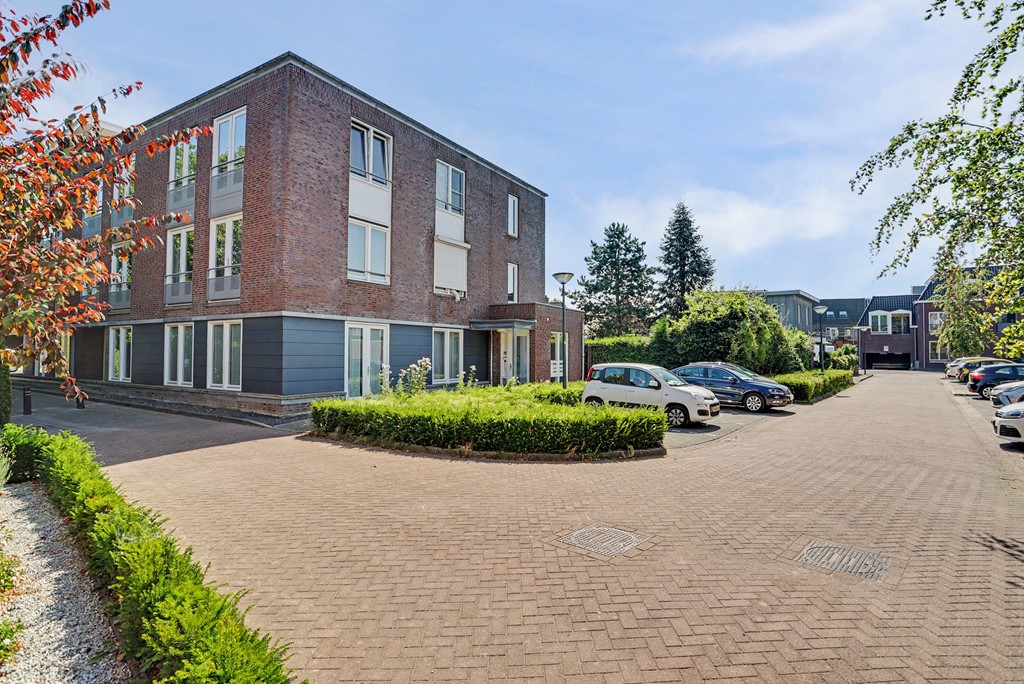01_BLADEL_5531_MP_Beukenbos_61.JPG