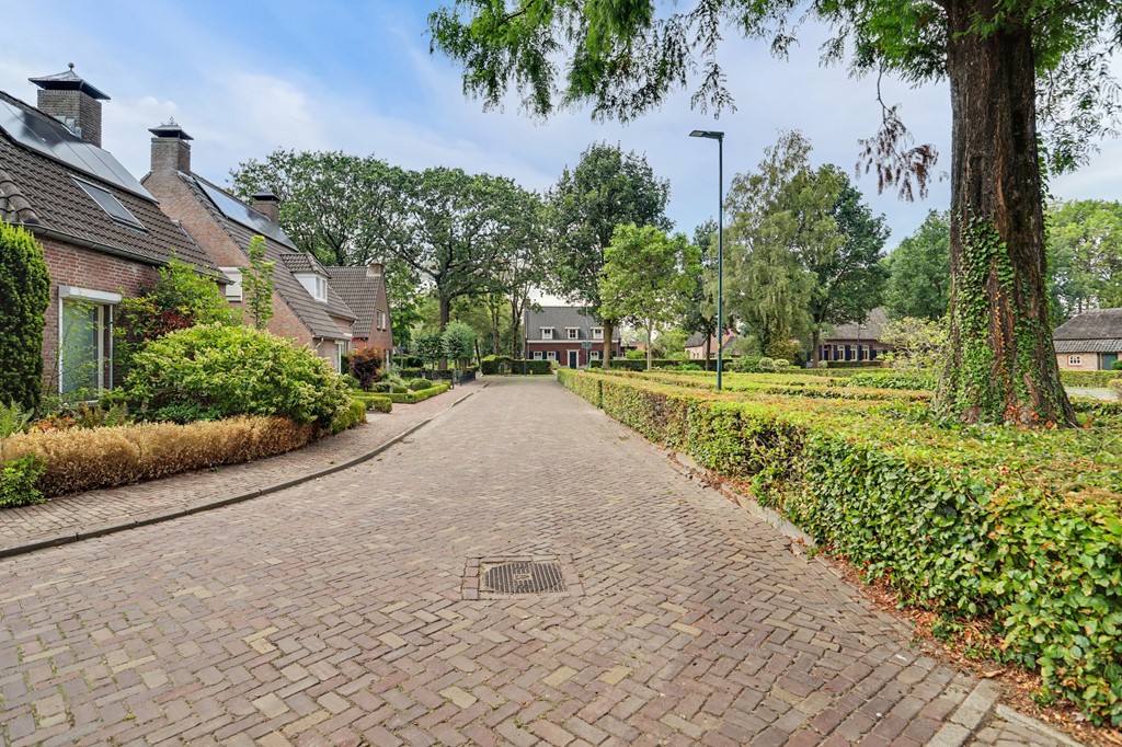 05_BLADEL_5531_DZ_Koekoeksbos_16.JPG