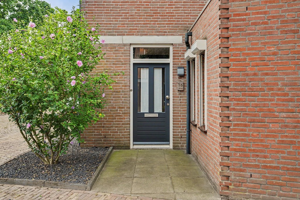 06_BLADEL_5531_DZ_Koekoeksbos_16.JPG