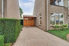 10_BLADEL_5531_KB_Vogelwikke_38.JPG