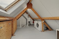 60_BLADEL_5531_KB_Vogelwikke_38.jpg