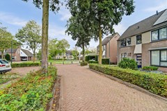 03_BLADEL_5531_KB_Vogelwikke_38.jpg