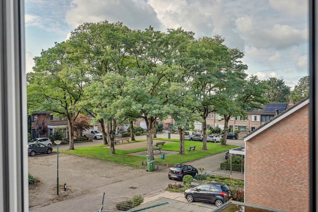 37_REUSEL_5541_AJ_Groeneweg_60.jpg