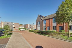 05_HAPERT_5527_ET_Blaarkop_17.JPG