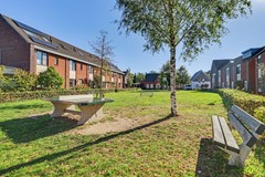 06_HAPERT_5527_ET_Blaarkop_17.JPG