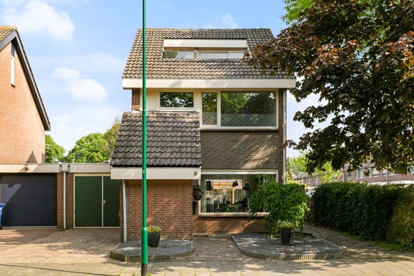Wildschut 6, Gilze