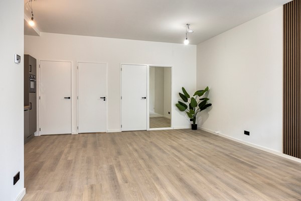 Reigerstraat263145CTMaassluis-09.jpg