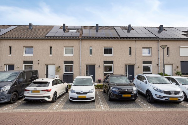 JaapvandeScheurhof53151mgHoekvanHollandNL-01.jpg