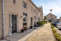 JaapvandeScheurhof53151mgHoekvanHollandNL-04.jpg