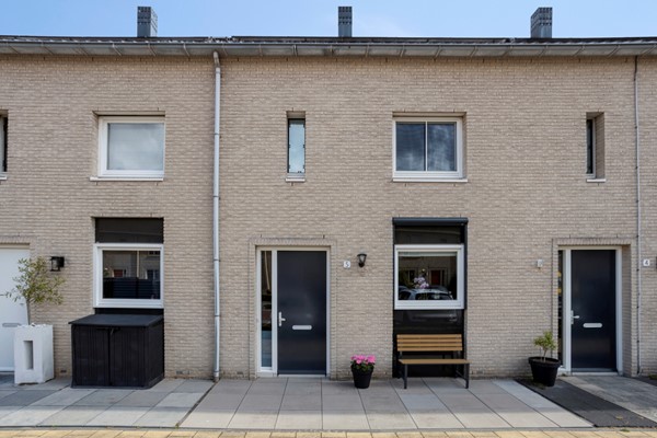 JaapvandeScheurhof53151mgHoekvanHollandNL-02.jpg