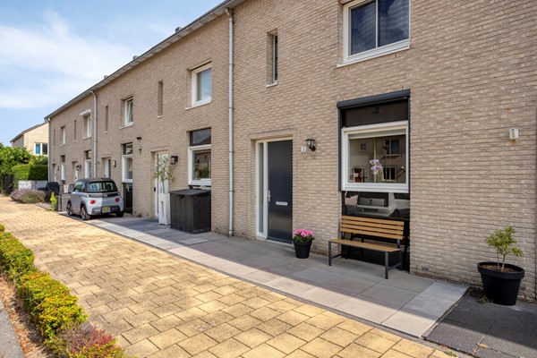 JaapvandeScheurhof53151mgHoekvanHollandNL-03.jpg