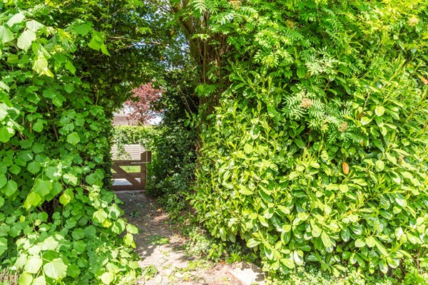 Medium property photo - Welysestraat 35, 6669 DJ Dodewaard