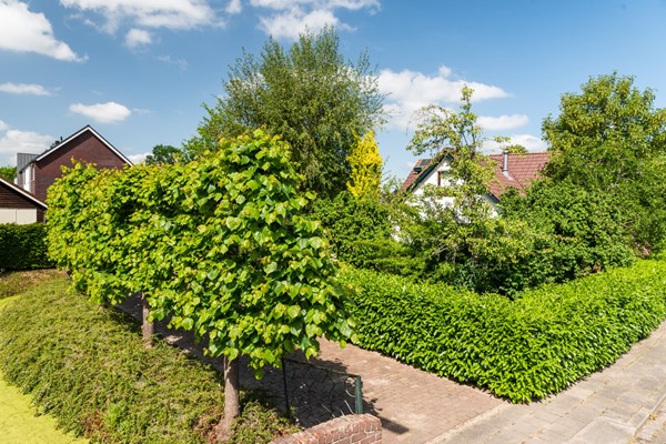 Medium property photo - Dorpsstraat 6, 4053 HN IJzendoorn