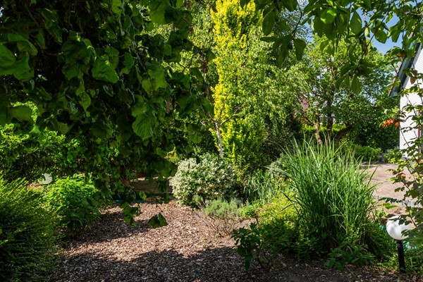 Medium property photo - Dorpsstraat 6, 4053 HN IJzendoorn