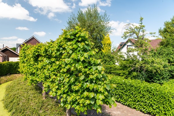 Medium property photo - Dorpsstraat 6, 4053 HN IJzendoorn