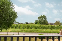 08646999_30.jpg