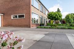 08652983_33.jpg