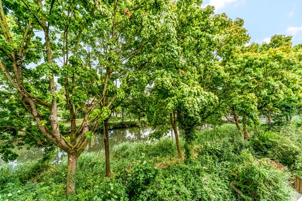 Medium property photo - Jungfrau 34, 3524 WK Utrecht