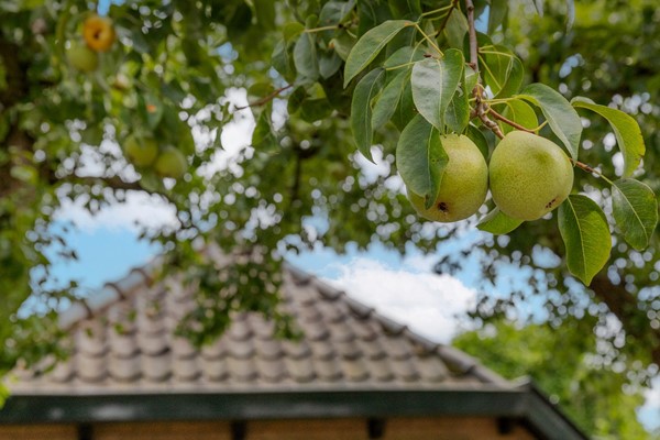 Medium property photo - Groenestraat 5, 6669 DR Dodewaard