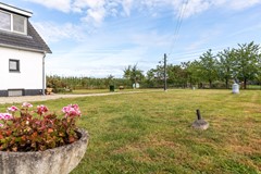 08717125_57.jpg