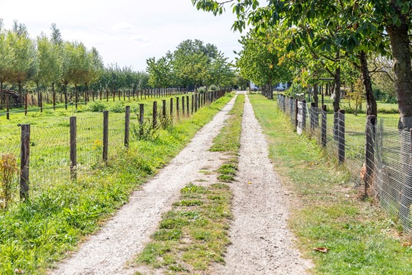 Medium property photo - Burgemeester Houtkoperweg 44, 4033 BL Lienden