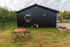 08717125_92.jpg