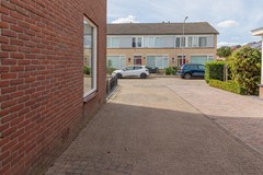 08725515_40.jpg