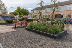08725515_50.jpg