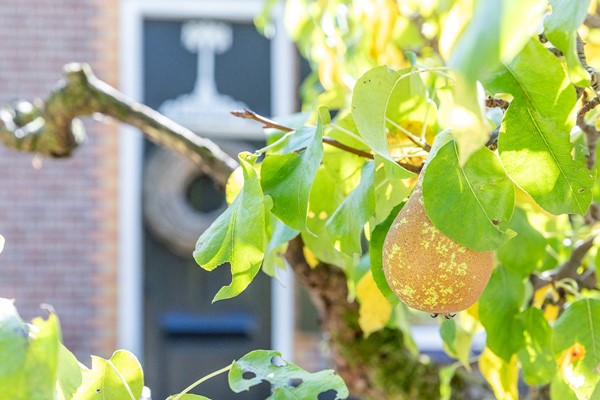 Medium property photo - Keizerstraat 58, 4053 HK IJzendoorn