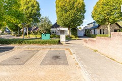 08749843_88.jpg