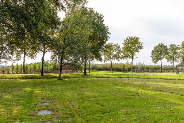 Medium property photo - De Zandvoort 5, 6669 ML Dodewaard