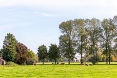 08763783_49.jpg