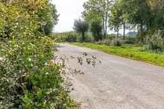 08763783_52.jpg