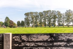 08763783_82.jpg