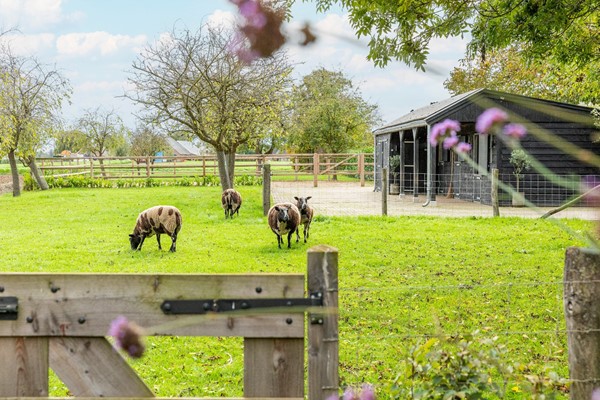 Medium property photo - Valburgsestraat 4, 6677 PC Slijk-Ewijk