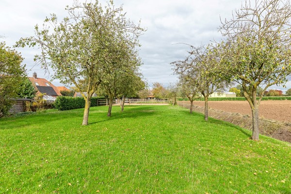 Medium property photo - Valburgsestraat 4, 6677 PC Slijk-Ewijk