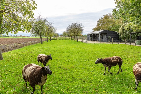 Medium property photo - Valburgsestraat 4, 6677 PC Slijk-Ewijk