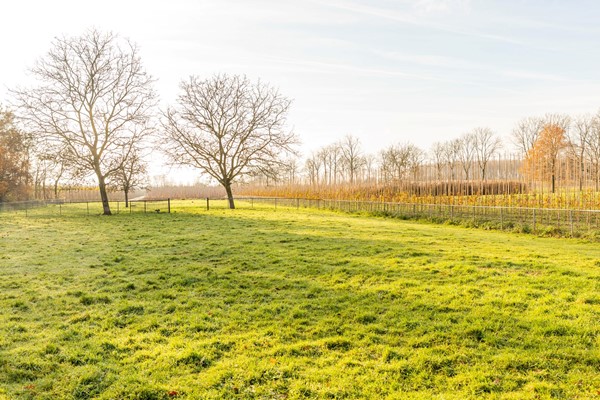 Medium property photo - De Akker 9, 4032 NP Ommeren