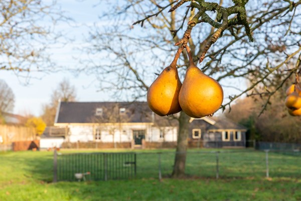 Medium property photo - De Akker 9, 4032 NP Ommeren