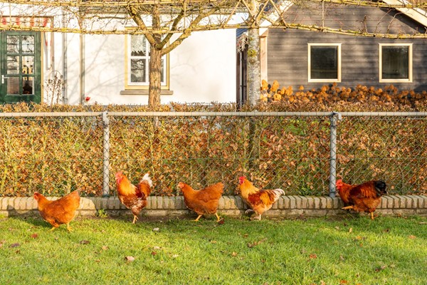 Medium property photo - De Akker 9, 4032 NP Ommeren