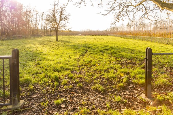 Medium property photo - De Akker 9, 4032 NP Ommeren