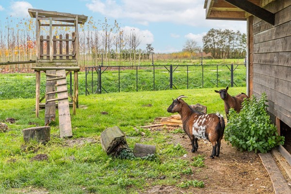Medium property photo - Liniestraat 8, 4041 ED Kesteren