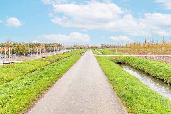 Medium property photo - Liniestraat 8, 4041 ED Kesteren